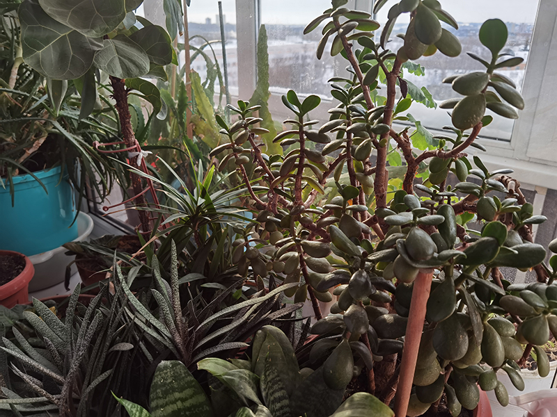 Мой день 12.02.2026 г преподаватель,Нижний Новгород,oneday,будни,46-55,Россия