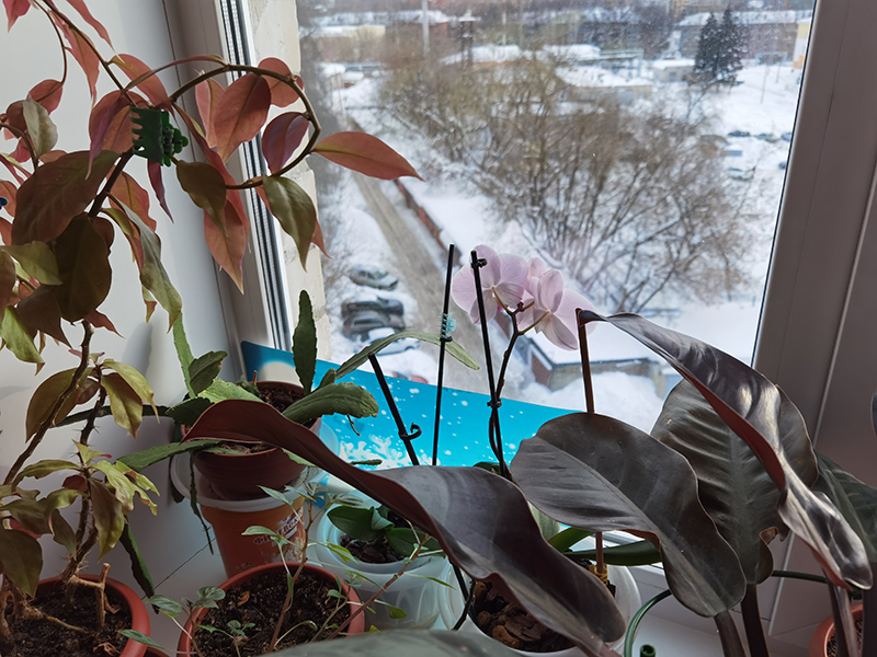 Мой день 12.02.2026 г преподаватель,Нижний Новгород,oneday,будни,46-55,Россия