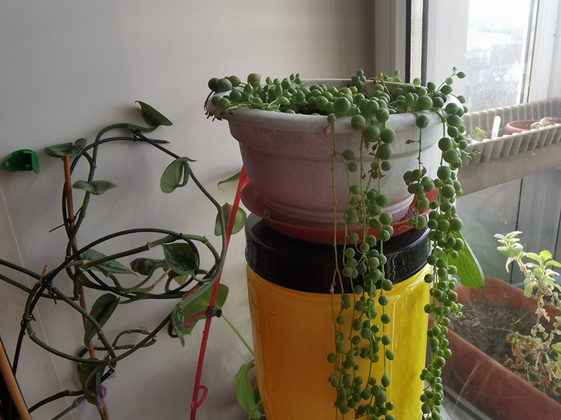 Мой день 12.02.2026 г преподаватель,Нижний Новгород,oneday,будни,46-55,Россия