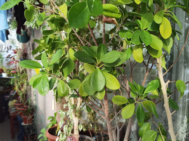 Мой день 12.02.2026 г преподаватель,Нижний Новгород,oneday,будни,46-55,Россия