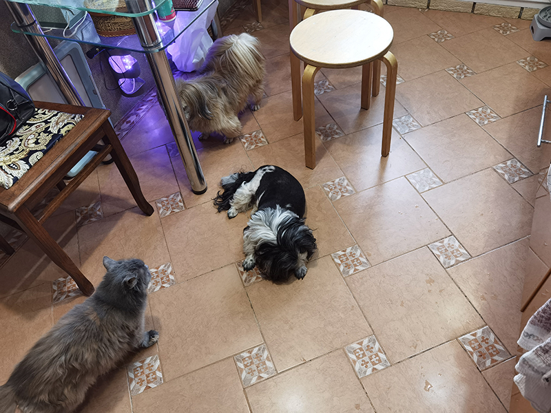 Мой день 12.02.2026 г преподаватель,Нижний Новгород,oneday,будни,46-55,Россия