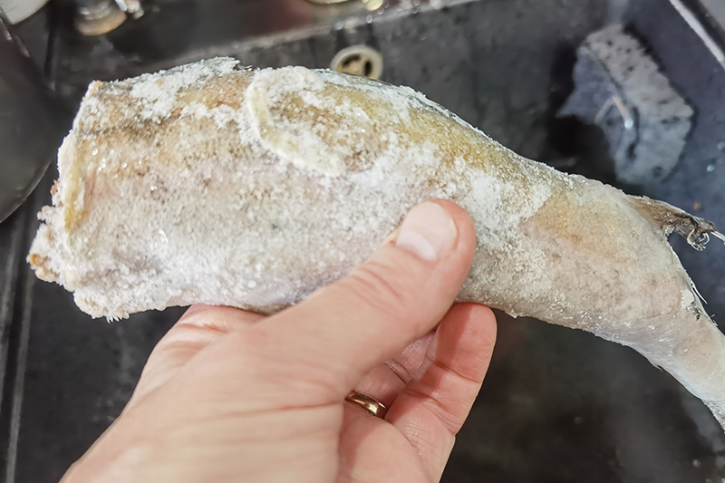 Мой день 12.02.2026 г преподаватель,Нижний Новгород,oneday,будни,46-55,Россия