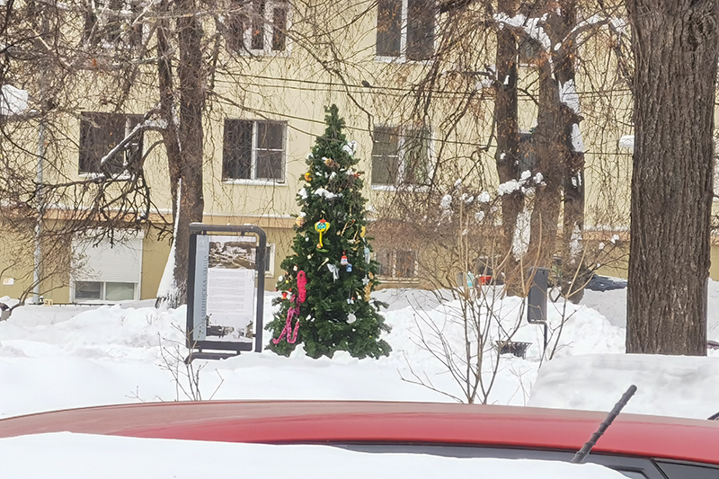 Мой день 12.02.2026 г преподаватель,Нижний Новгород,oneday,будни,46-55,Россия