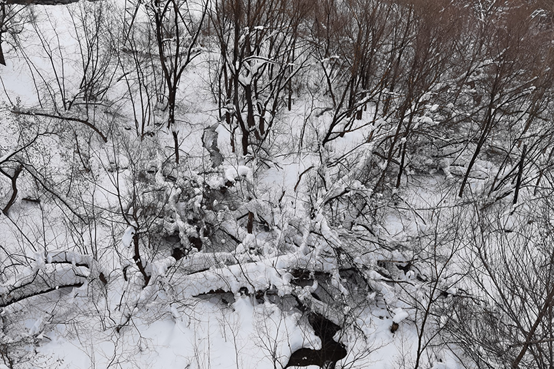 Мой день 12.02.2026 г преподаватель,Нижний Новгород,oneday,будни,46-55,Россия