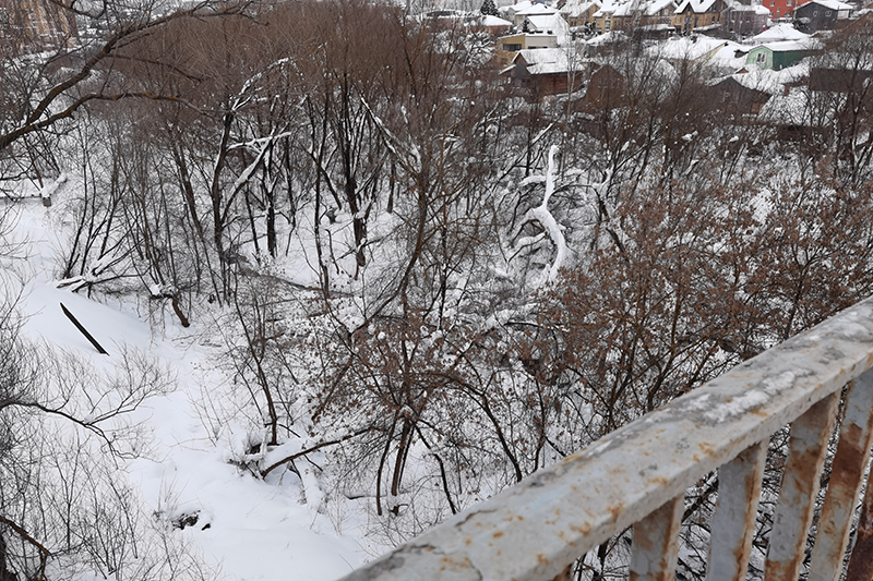 Мой день 12.02.2026 г преподаватель,Нижний Новгород,oneday,будни,46-55,Россия