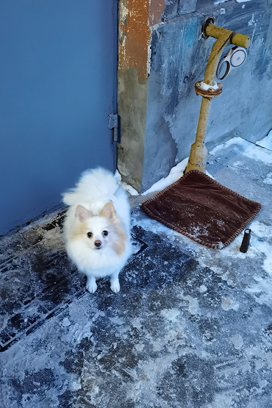 Мой день 12.02.2026 г преподаватель,Нижний Новгород,oneday,будни,46-55,Россия