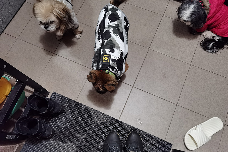 Мой день 12.02.2026 г преподаватель,Нижний Новгород,oneday,будни,46-55,Россия