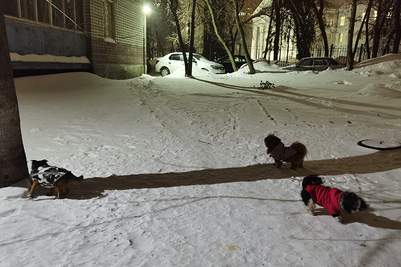 Мой день 12.02.2026 г преподаватель,Нижний Новгород,oneday,будни,46-55,Россия
