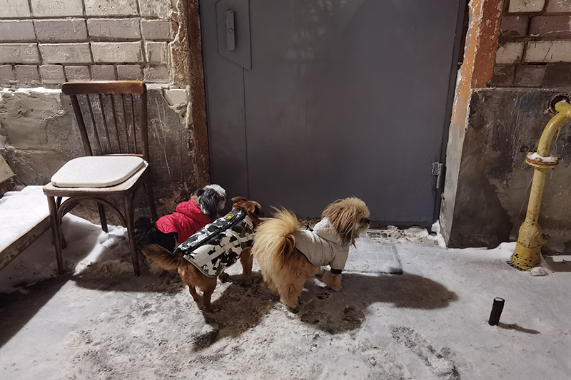 Мой день 12.02.2026 г преподаватель,Нижний Новгород,oneday,будни,46-55,Россия