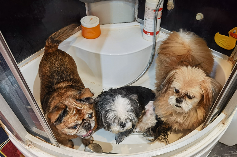 Мой день 12.02.2026 г преподаватель,Нижний Новгород,oneday,будни,46-55,Россия