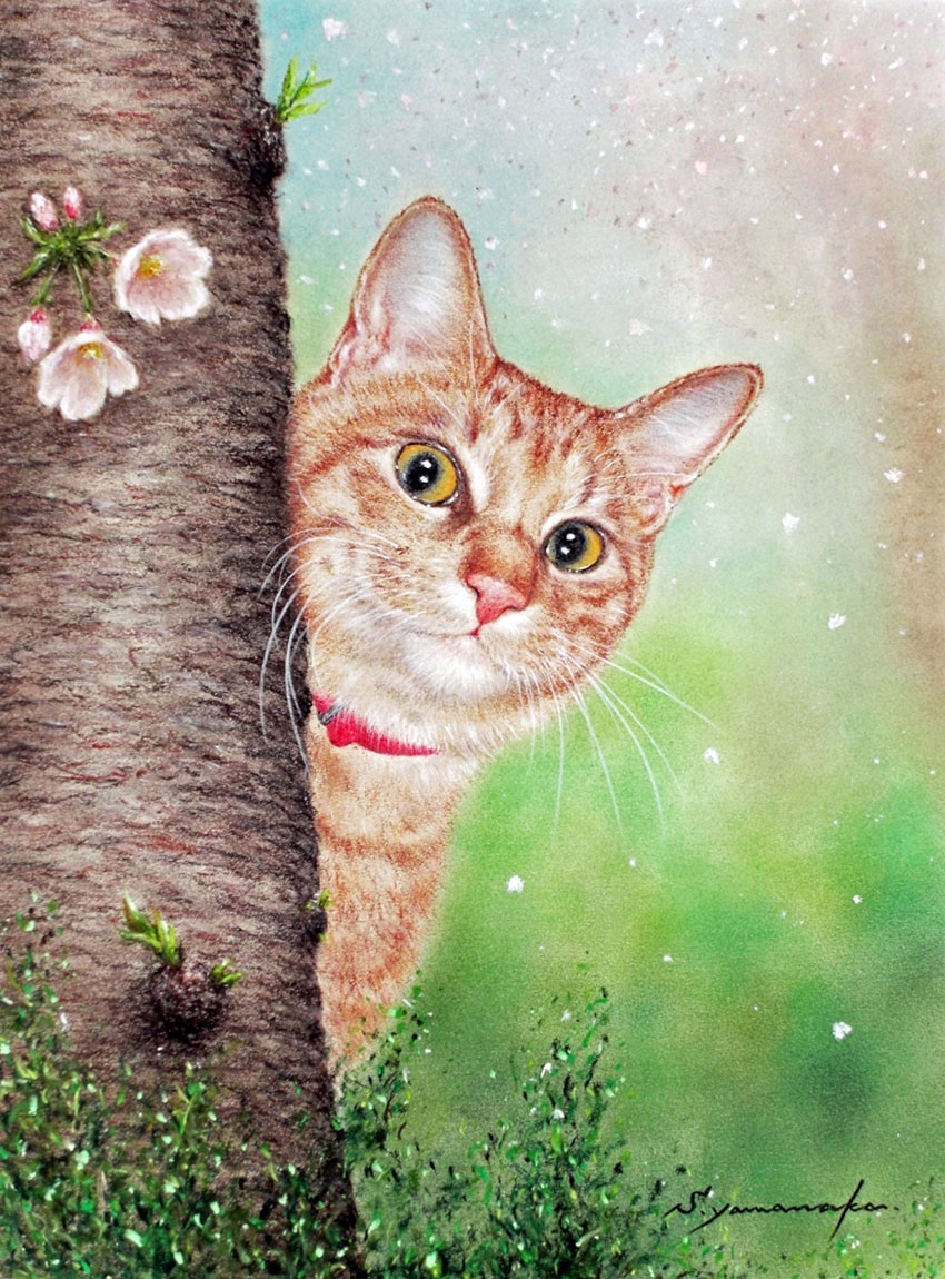 24Ѹ���� ������� (Shyoshiro Yamanaka)