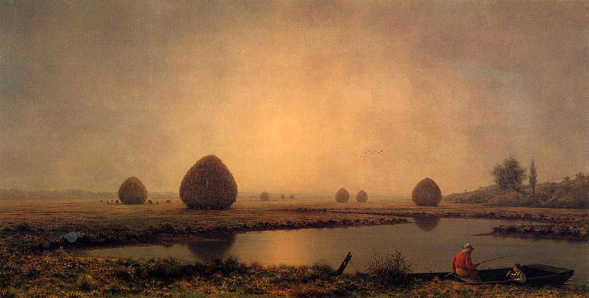 5 (3)