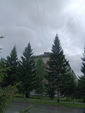 https://images.vfl.ru/ii/1776436533/65a65426/40174650_m.jpg