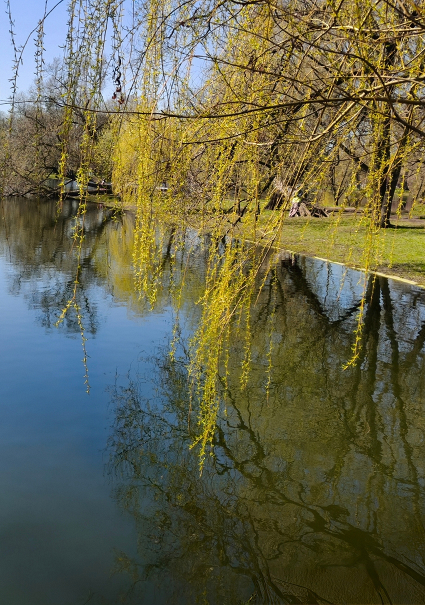 VFL.RU - ��� �����������