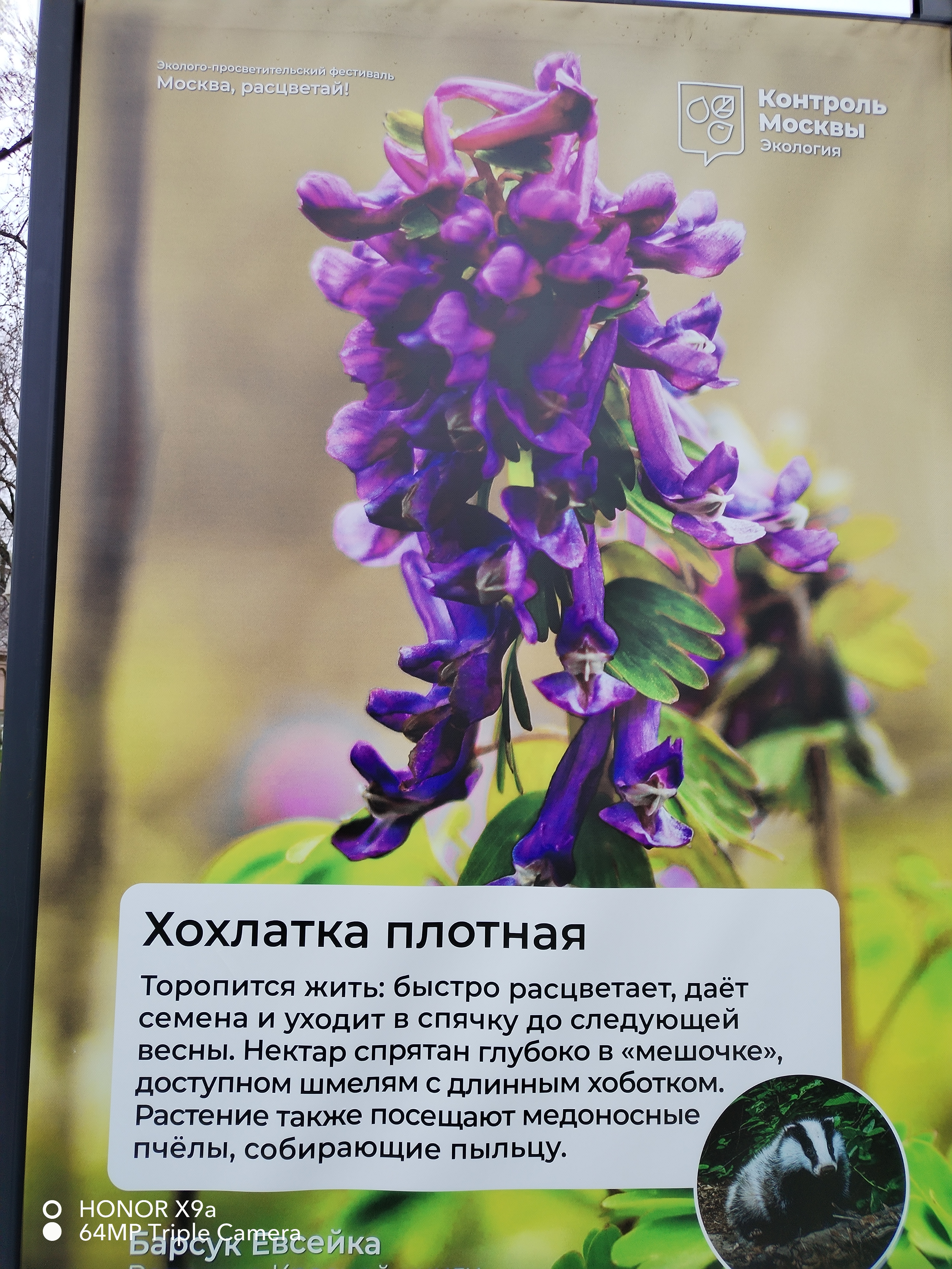 40182609.jpg