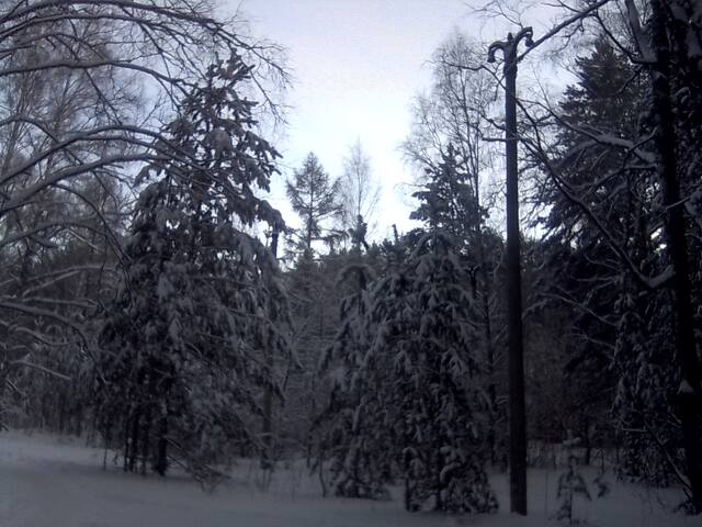 https://images.vfl.ru/ii/1777223025/4e5dba75/40182650_m.jpg