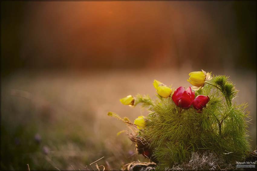 VFL.RU - ��� �����������