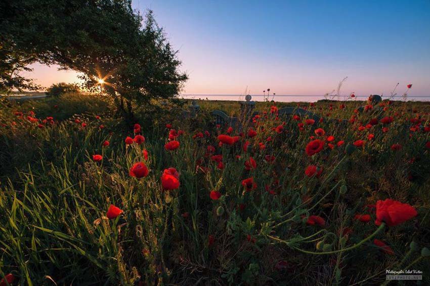 VFL.RU - ��� �����������