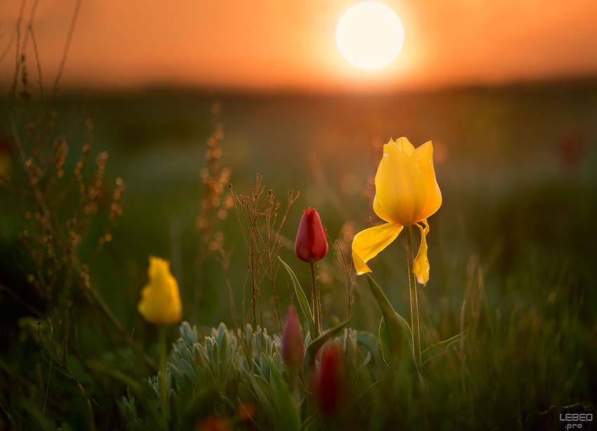 VFL.RU - ��� �����������
