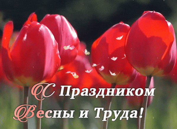 VFL.RU - ��� �����������