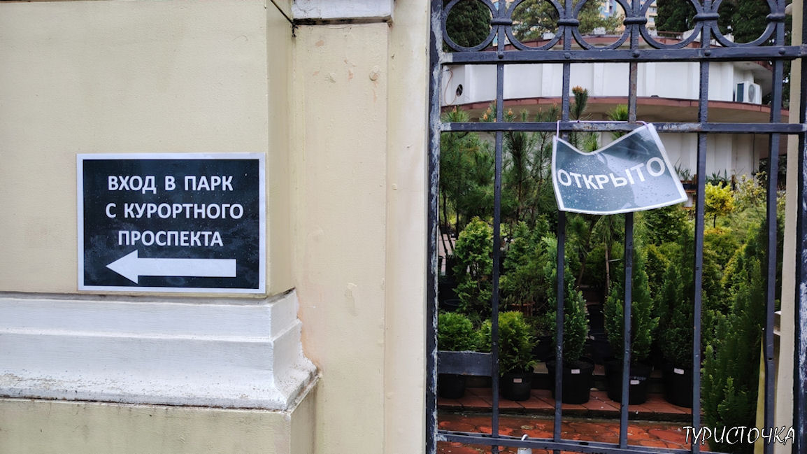 Магазин растений Дендрария Сочи
