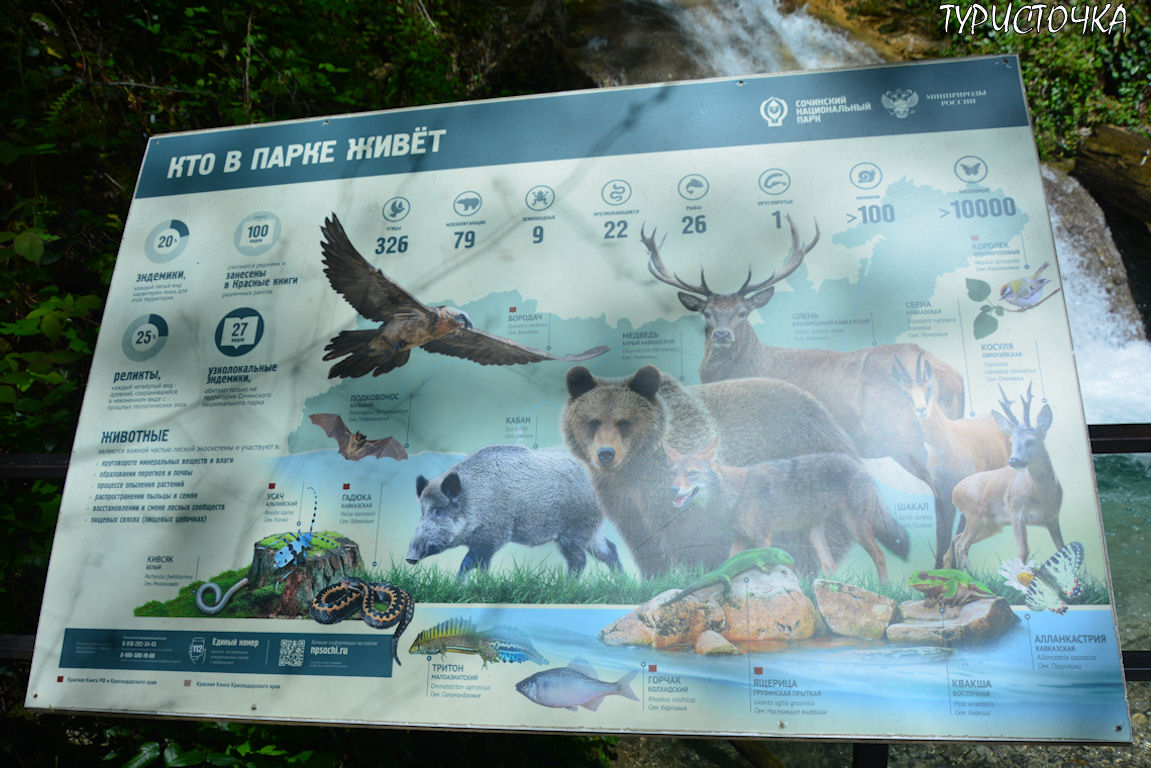 33 водопада
