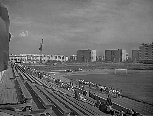 https://images.vfl.ru/ii/1778340705/3a37717c/40198208_m.png
