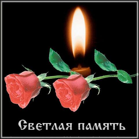 https://images.vfl.ru/ii/1778511118/88efc021/40202103_m.jpg