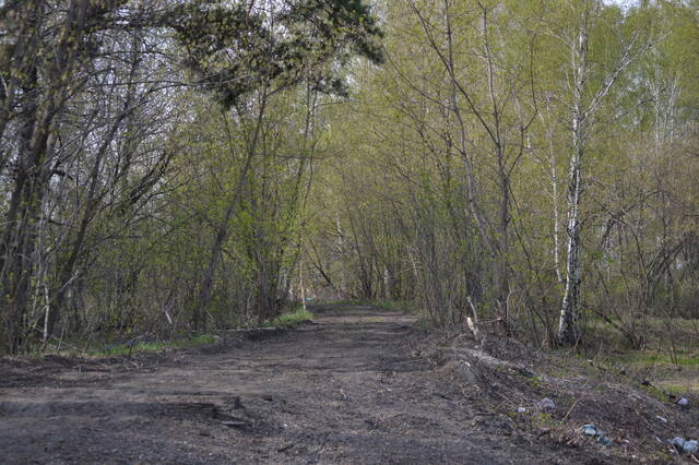 https://images.vfl.ru/ii/1778593781/46493917/40202978_m.jpg