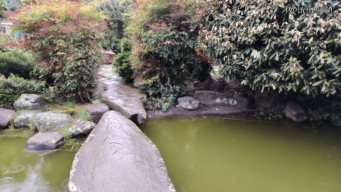 Японский сад Сочи