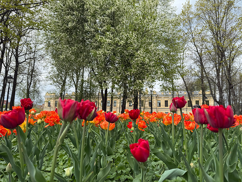 VFL.RU - ��� �����������