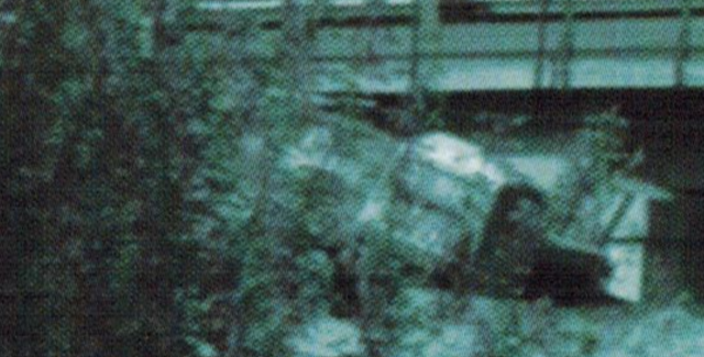 https://images.vfl.ru/ii/1779206975/7859fd96/40211964_m.png