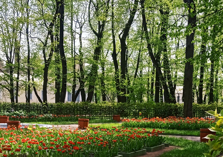 VFL.RU - ��� �����������