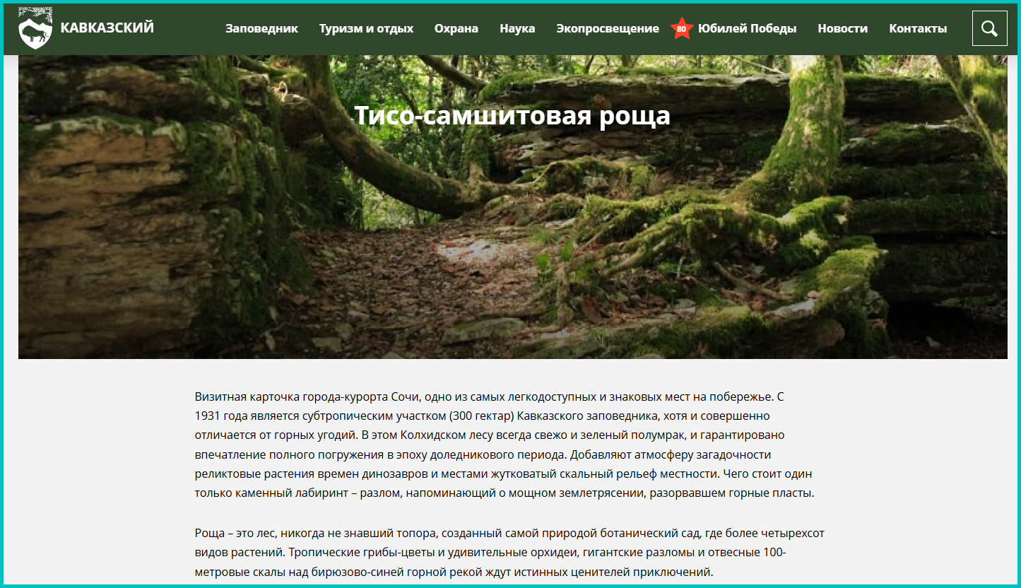 Тисо-самшитовая роща