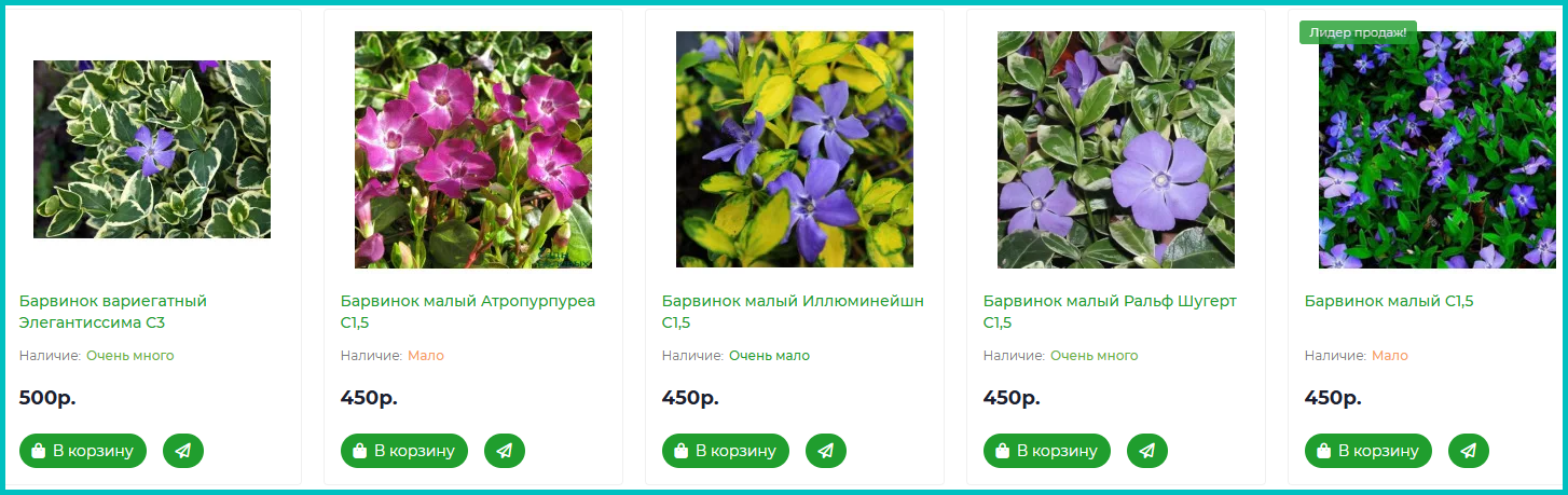 Барвинок иллюминейшн