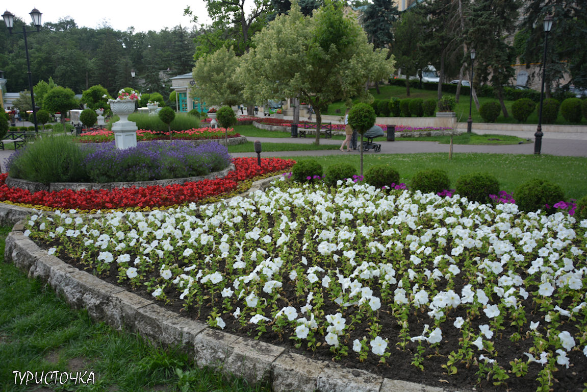 Цветник
