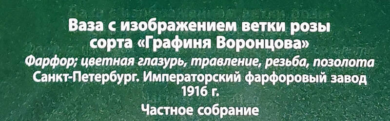 https://images.vfl.ru/ii/1780216959/875db1d1/40231691.jpg