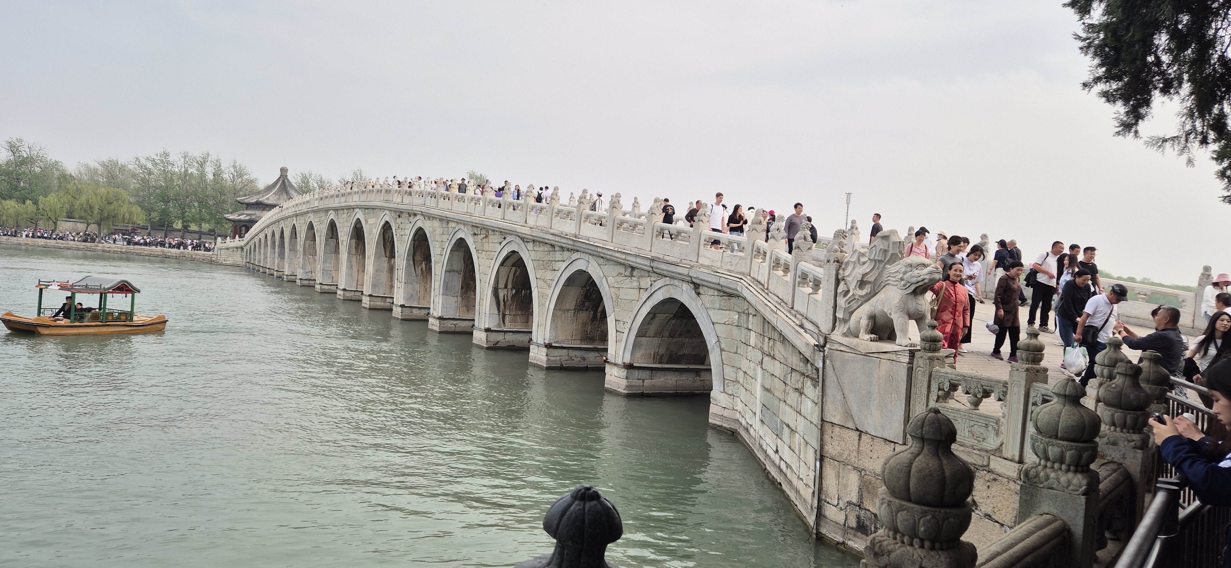 https://images.vfl.ru/ii/1780258648/1d0d5855/40232252.jpg