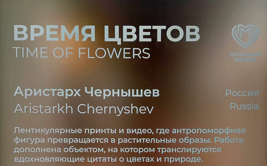 https://images.vfl.ru/ii/1780638659/9b23b4c5/40245276.jpg