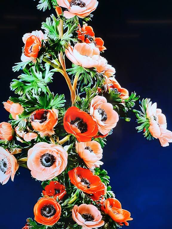 https://images.vfl.ru/ii/1780638661/df38c0a9/40245279.jpg