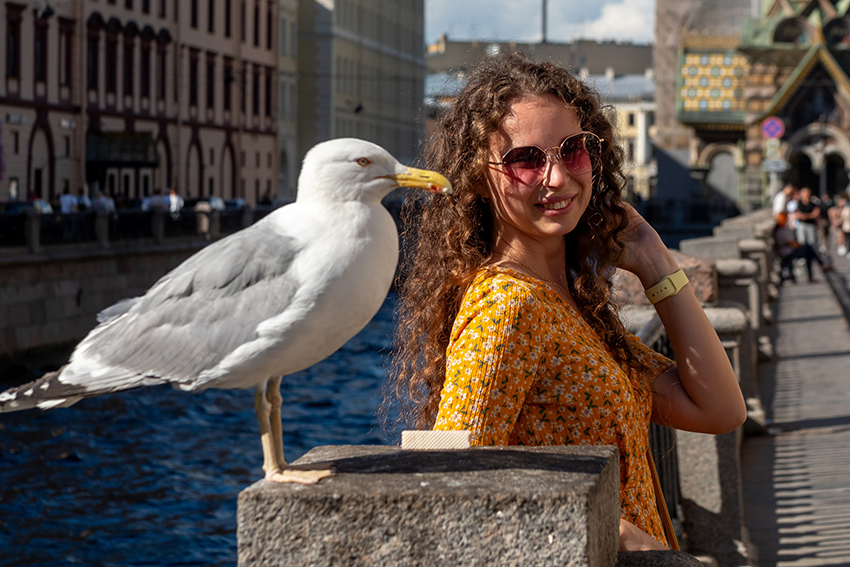 VFL.RU - ��� �����������