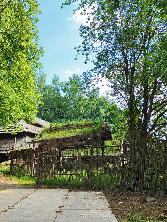 https://images.vfl.ru/ii/1781324112/875e126e/40252111.jpg