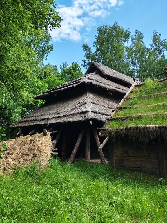 https://images.vfl.ru/ii/1781324114/1bea2153/40252114.jpg