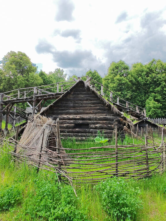 https://images.vfl.ru/ii/1781324120/1d711e68/40252121.jpg
