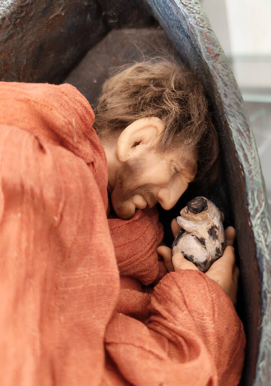 https://images.vfl.ru/ii/1781373014/d2f3fae2/40252759.jpg