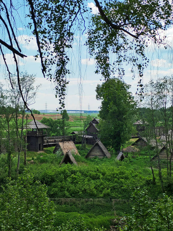 https://images.vfl.ru/ii/1781527690/ec4c28cb/40253825.jpg