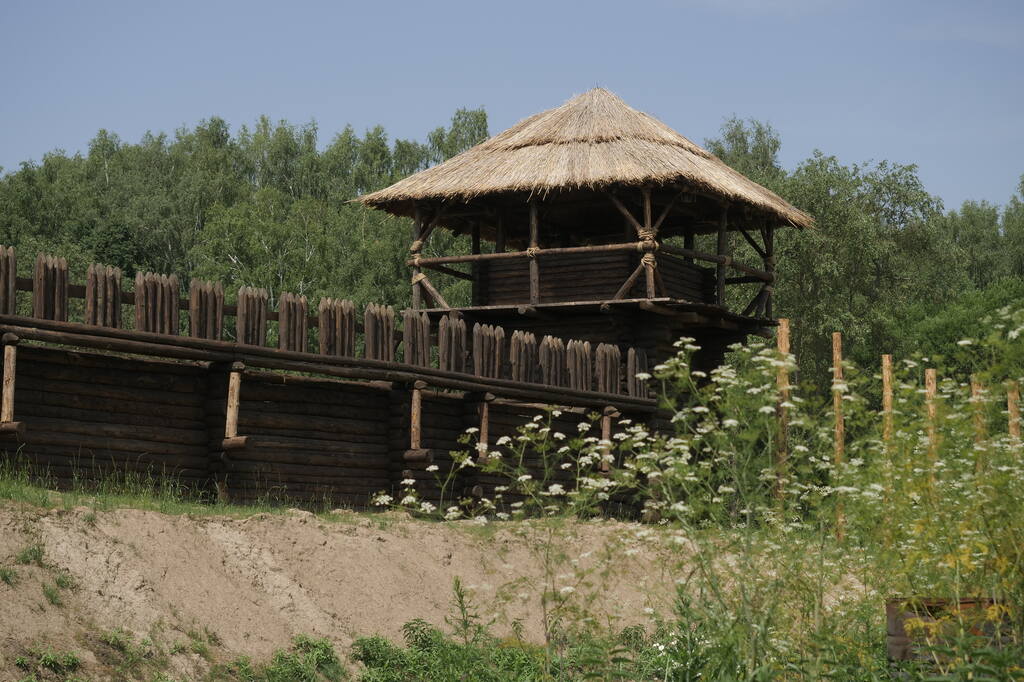https://images.vfl.ru/ii/1781527696/a660e030/40253833.jpg