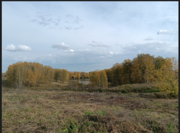 https://images.vfl.ru/ii/1781604859/652fdfd3/40254734_m.png