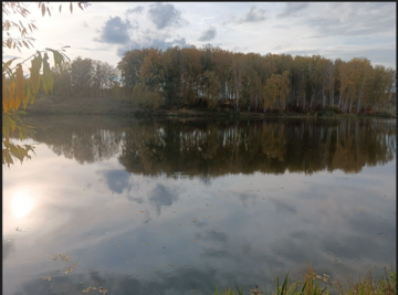 https://images.vfl.ru/ii/1781604868/c8993e50/40254735_m.png