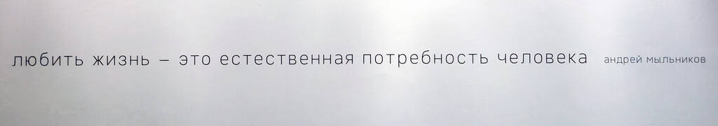 https://images.vfl.ru/ii/1782142840/8491fe5b/40260801.jpg